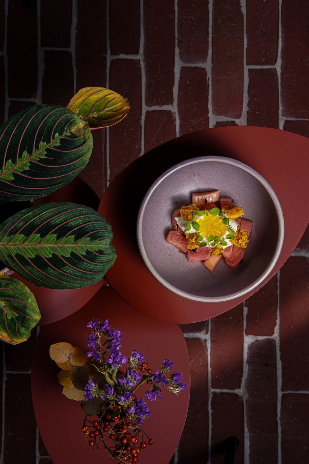 Dessert van gepocheerde rabarber met room en honingraat in een lila kom
